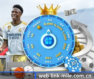 web-link-mile.com.cn APP 深度功能