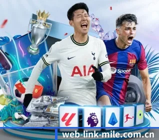web-link-mile.com.cn APP 界面